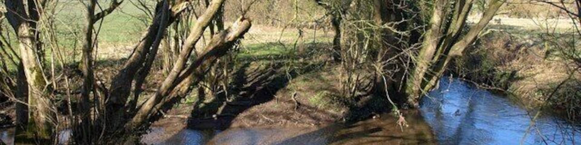 River Sheppey The river, approaching from the far right, turns a sharp bend right to leave to the left as it meets a tributary. Two paths, WS 10/79 and WS 10/79a, also meet here to cross a footbridge just to the left.