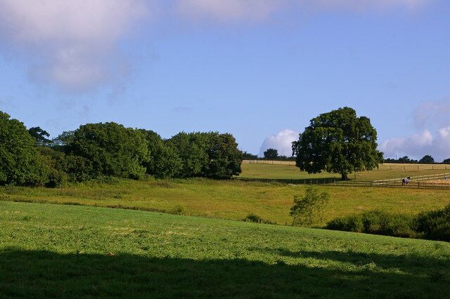 Pastureland near Woodhouse Copse Viewed from the edge of Woodhouse Copse.