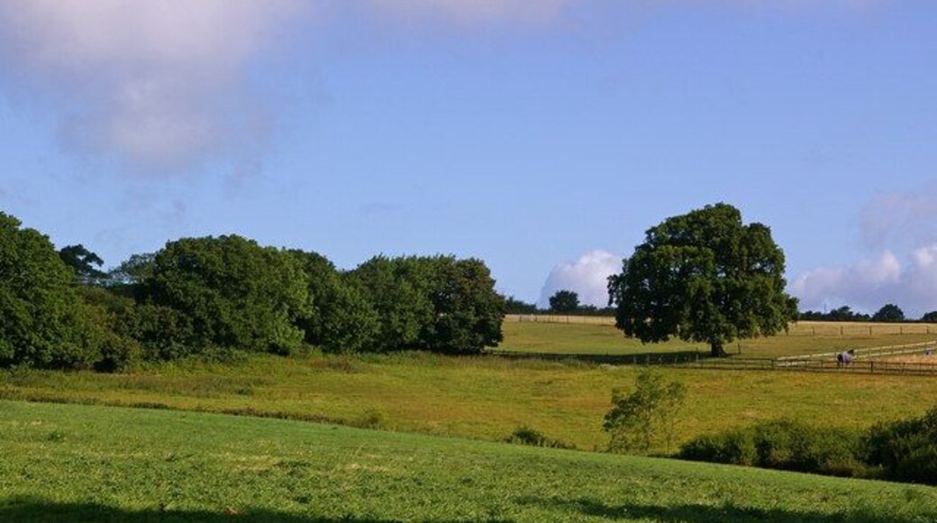 Pastureland near Woodhouse Copse Viewed from the edge of Woodhouse Copse.