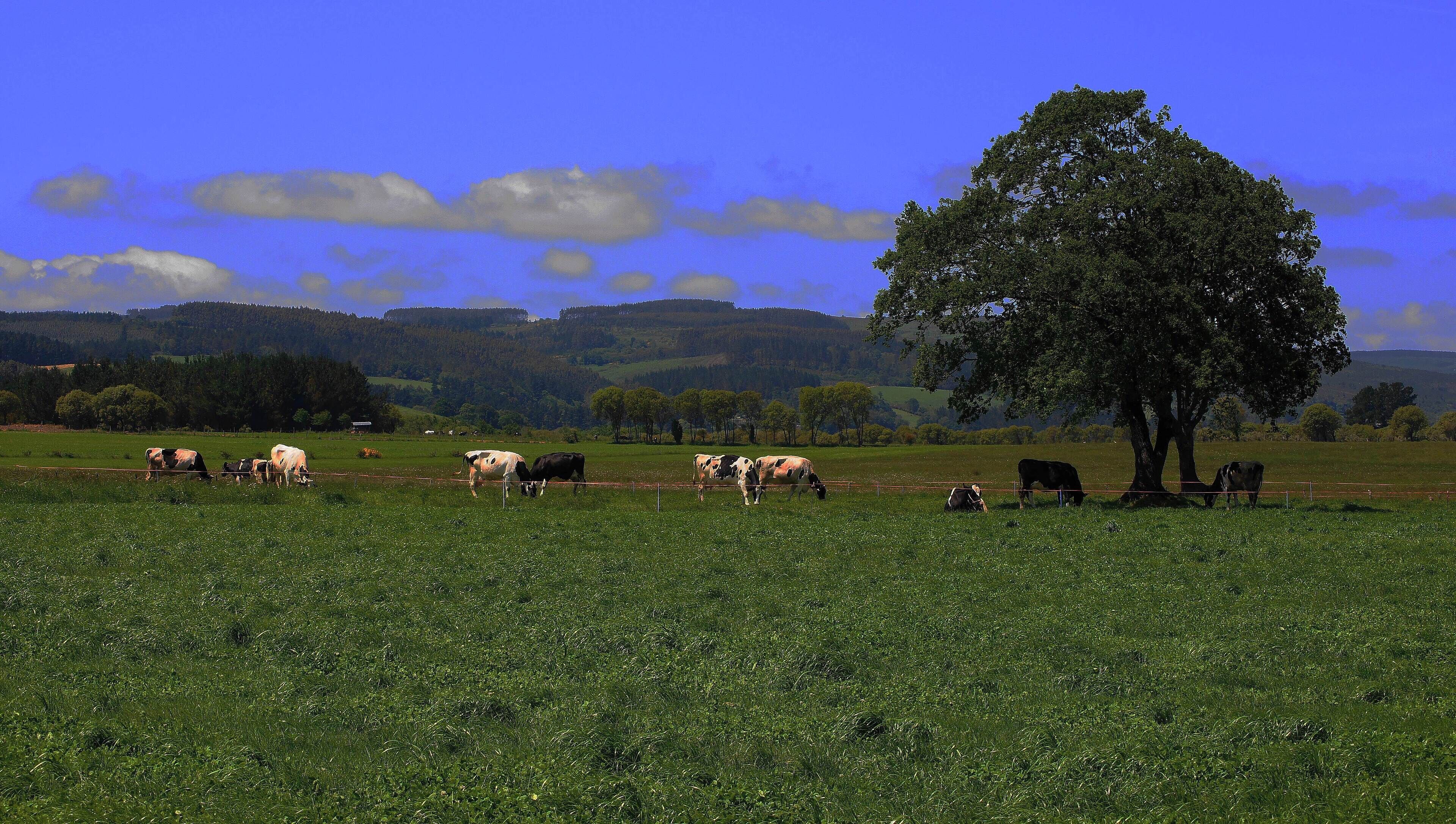 Lugo-Galicia-España