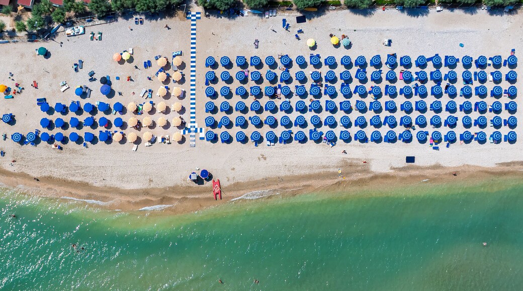 Aerial view of neat rows of blue umbrellas contrast the golden sand where the clear turquoise sea gently kisses the shore, Torre di Palme, Marche, Italy.