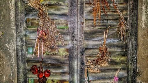 Evening walk through the Borghi