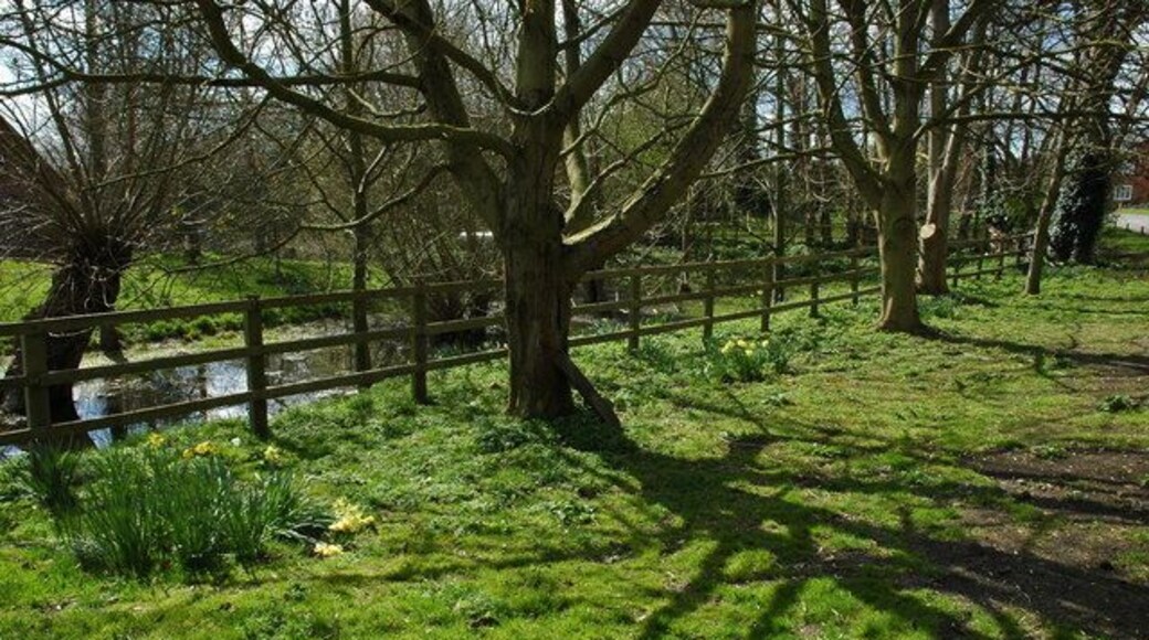The remains of a moat in Dorsington The remains of a moat at Moat House Farm can be seen on the other side of the fence.