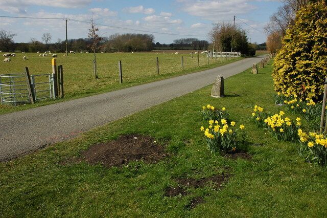 Country roadpast Bragginton Country road past Bragginton near the village of Dorsington.