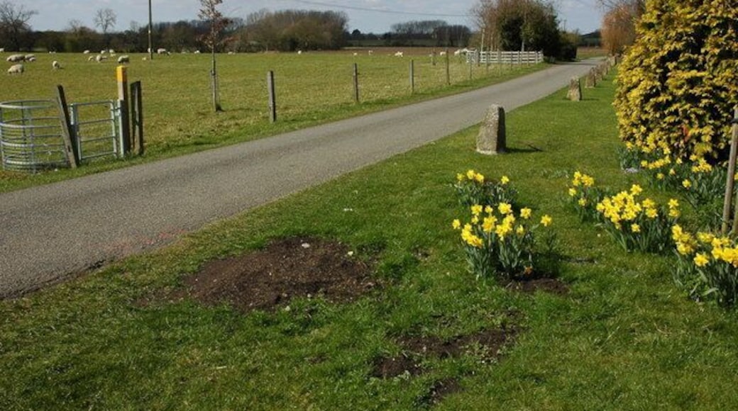 Country roadpast Bragginton Country road past Bragginton near the village of Dorsington.