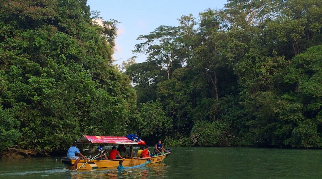 After hours of body rafting