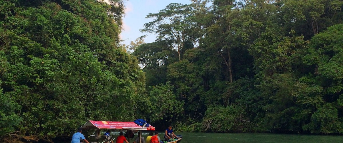 A river with a boat carrying passengers.