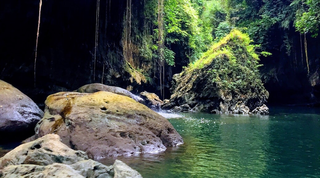 Green Canyon, Kertayasa, Indonesia.
Green Canyon is a beautiful natural wonder along with Green Valley near to Pangandaran and Batukaras in Java Indonesia. We went to the Green Canyon and Green Valley on a day trip and it was a lot of fun and very beautiful. A fun day full of sights, water jumps (some high jumps), rope swing, caves, swimming and boating down the stunning green river. The nature is incredible here although I would advise to go during the week as it can get very busy on weekends. #packsandaplan
