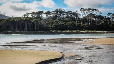 Una playa con agua cristalina, orilla de arena y un bosque al fondo.