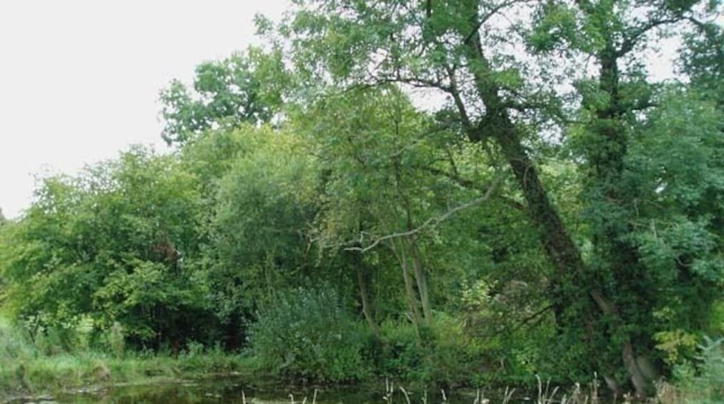 Medieval Fish Pond This is one of the two medieval fish ponds at the Millennium Green in Inkberrow.