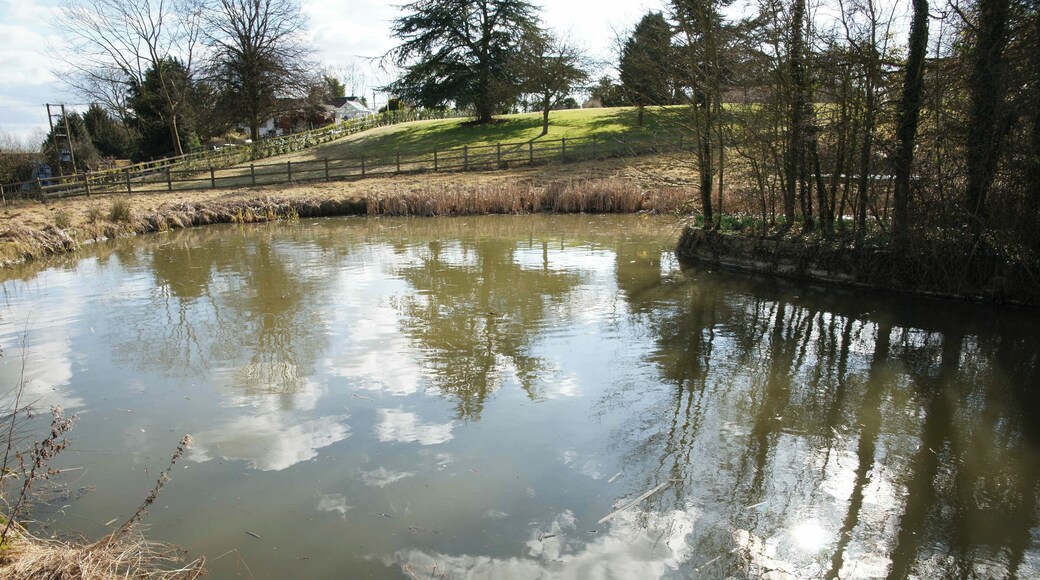 Millennium trail A pond forming part of Inkberrow's Millennium trail.