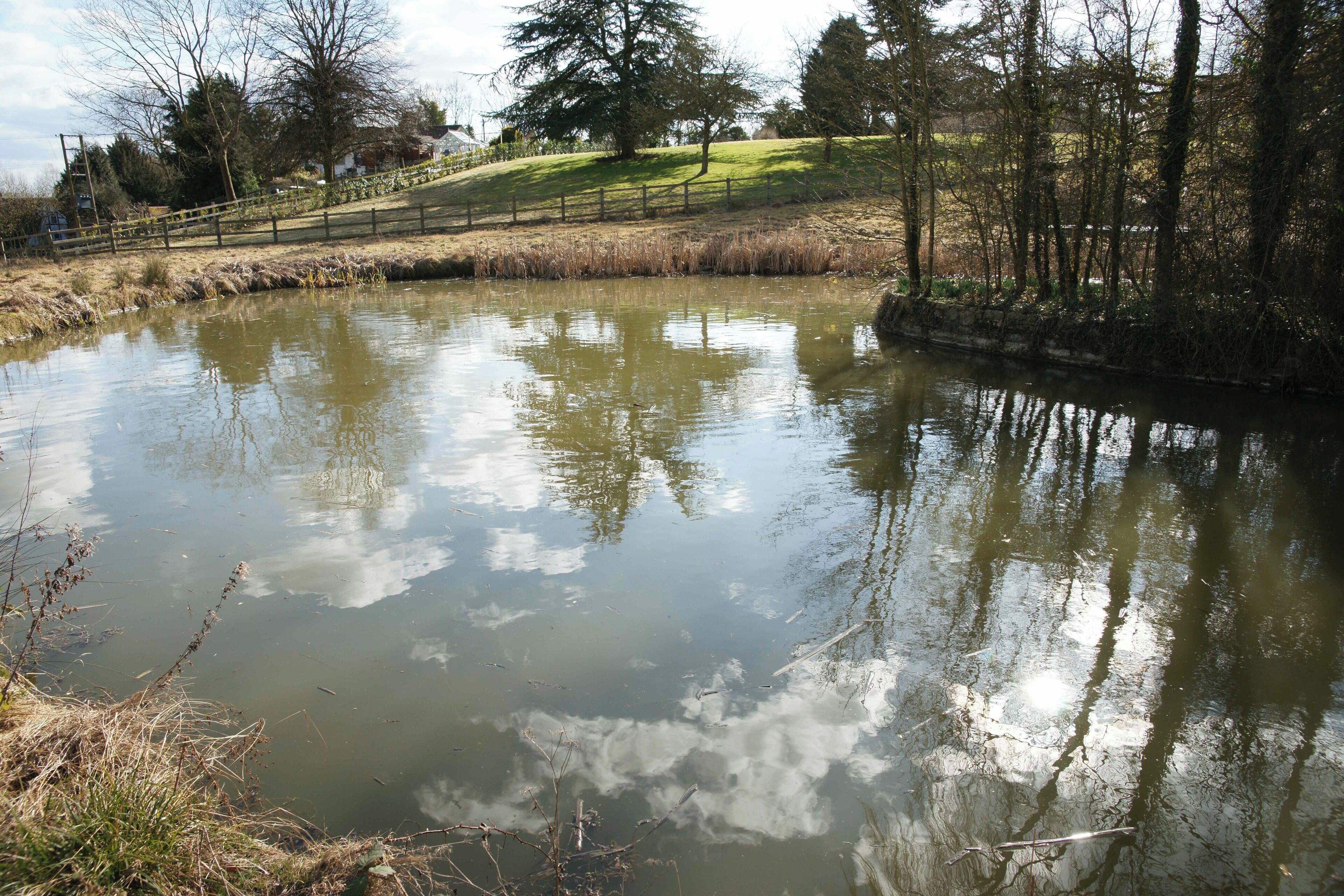 A calm pond surrounded by trees and a grassy hill.
