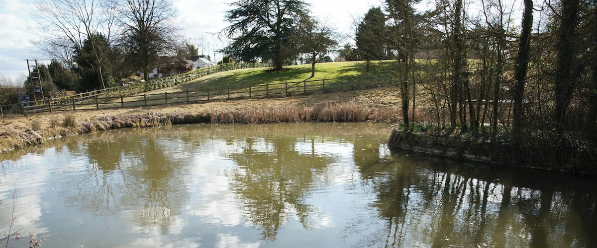 A calm pond surrounded by trees and a grassy hill.