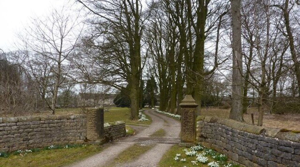 Snowdrop lined drive Flagg Hall in late winter.