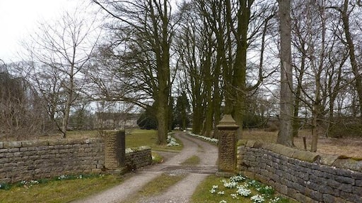 Snowdrop lined drive Flagg Hall in late winter.
