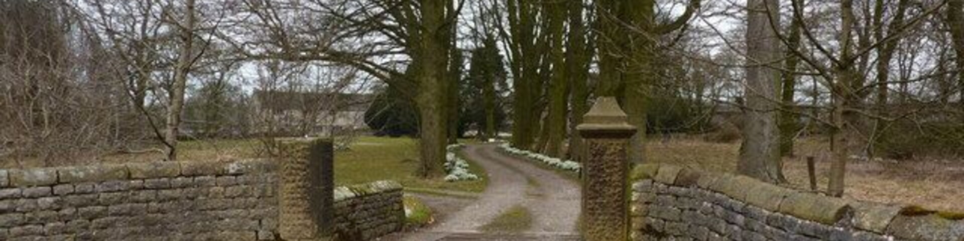 Snowdrop lined drive Flagg Hall in late winter.