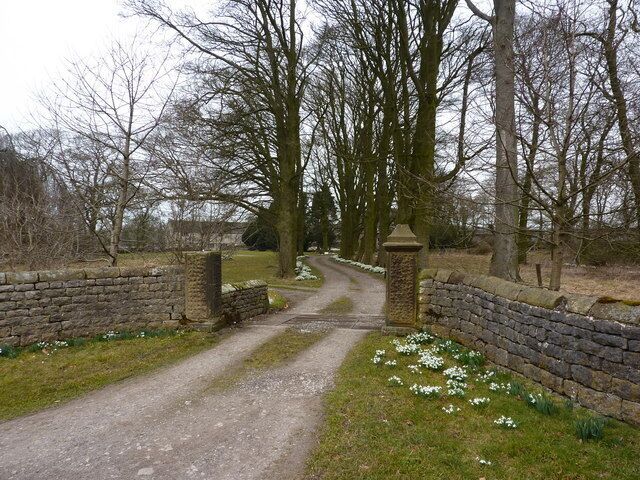 A rural road with stone walls and trees.
