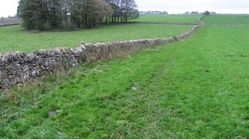 Footpath from Flagg