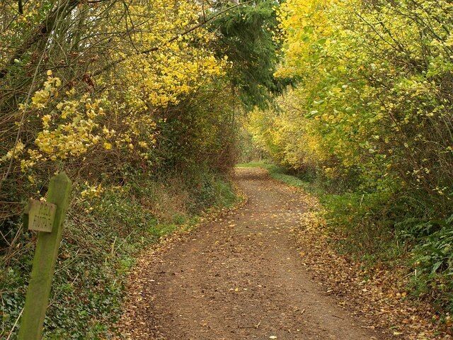 Burge Farm Lane Footpath T4/18 joins the lane leading away from Burge Farm towards Tithill Lane.