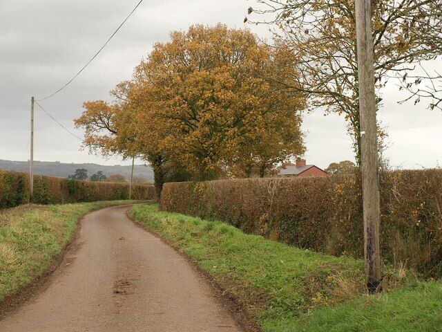 Tithill Lane Looking east, past an autumnal oak, from the junction with the no through lane to Burge Lane.