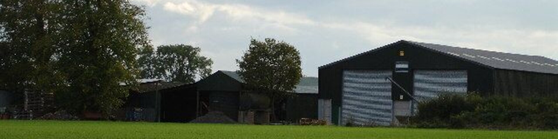 A large green field with two barns and a tree in the background.