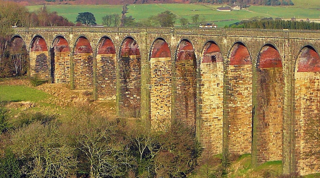 from the site of Wilsden Station
