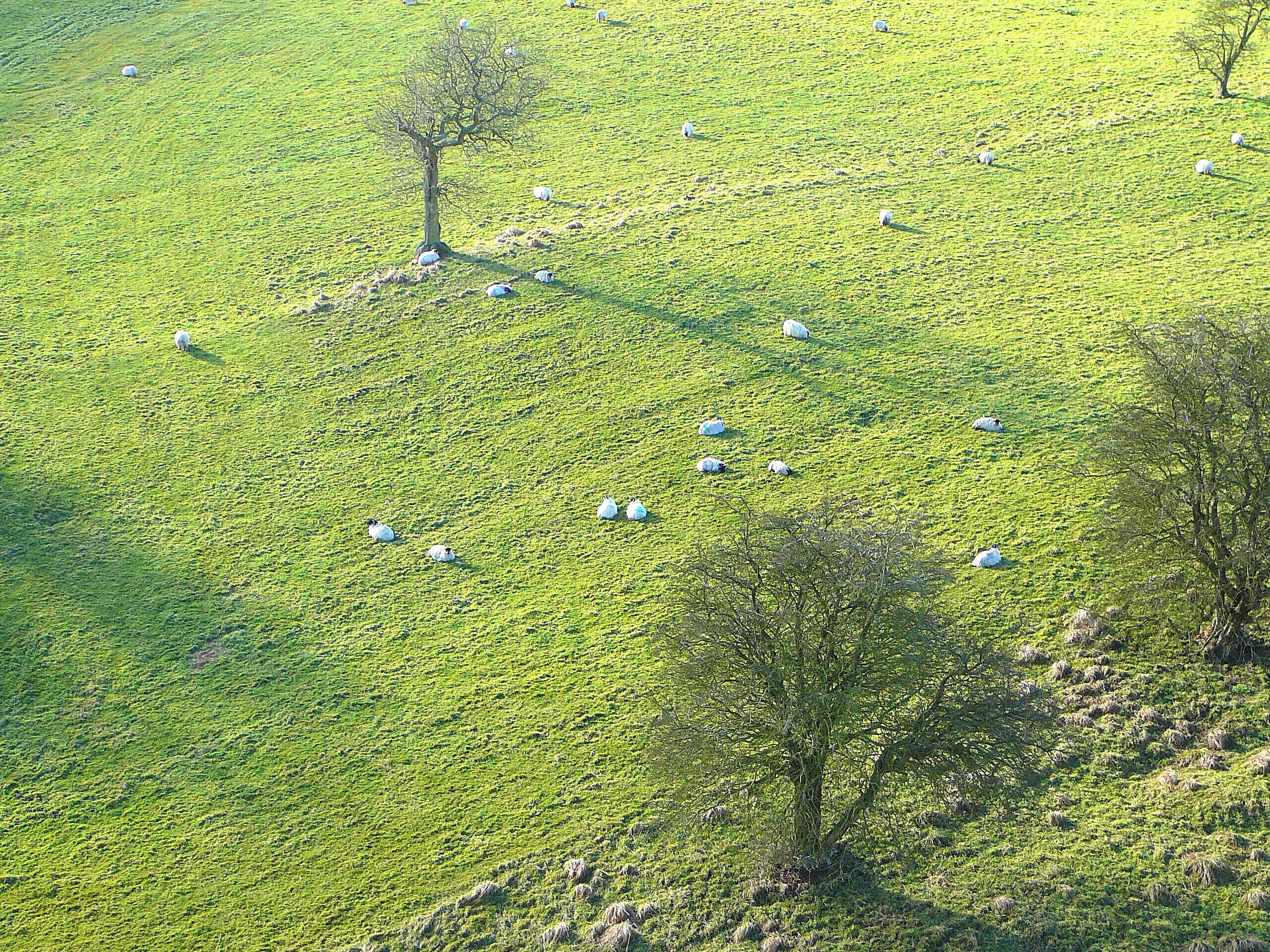 looking down from Hewenden Viaduct