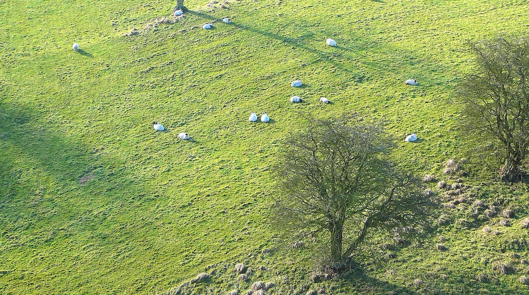 looking down from Hewenden Viaduct