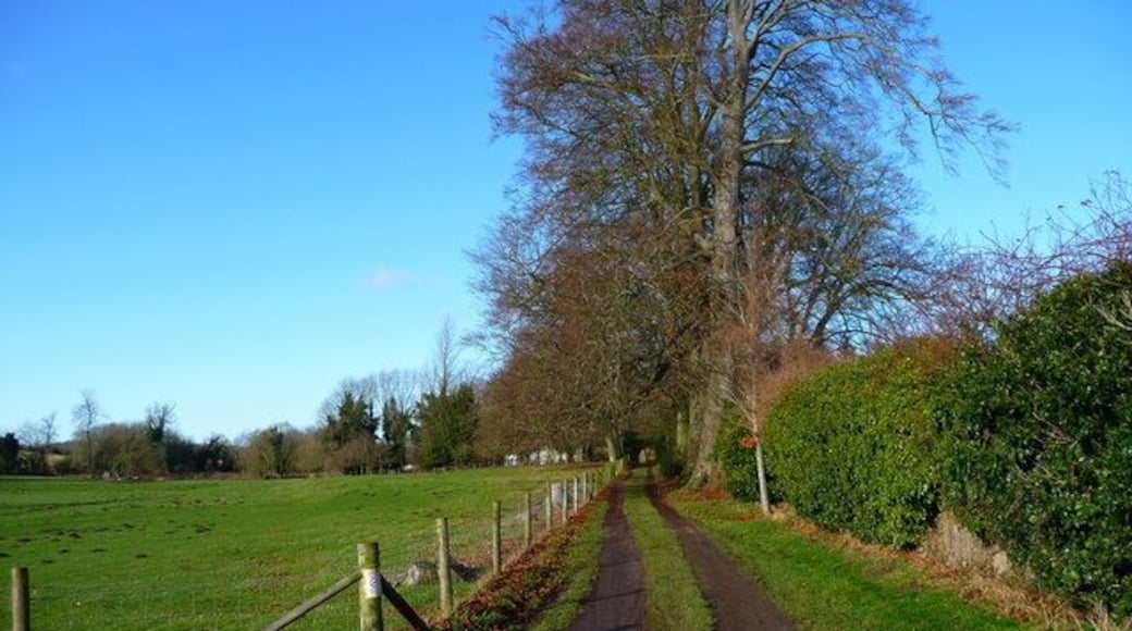 Fyfield - Track to Fyfield This track leads from St Nicholas Church back into the village.