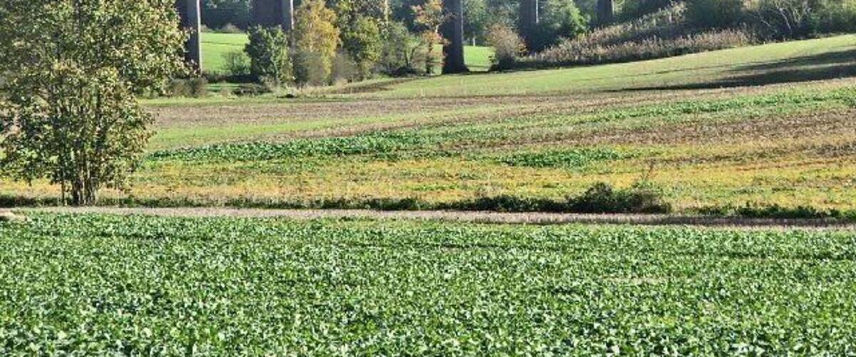 Soper's Viaduct. Soper's Viaduct is on the line between Crews Hill and Cuffley stations and was built over the valley where the Northaw Brook flows.