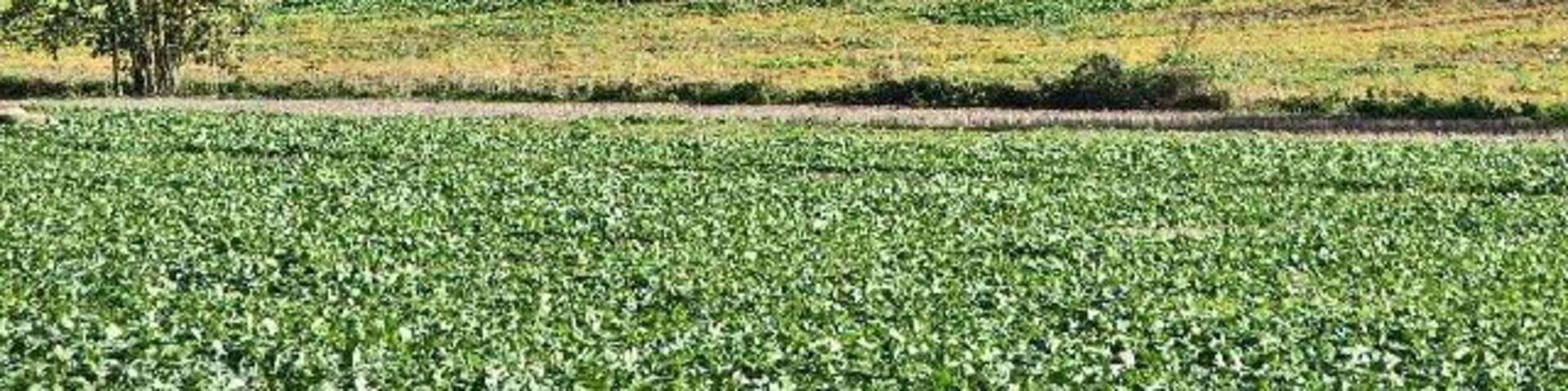 Soper's Viaduct. Soper's Viaduct is on the line between Crews Hill and Cuffley stations and was built over the valley where the Northaw Brook flows.