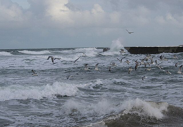 Rough seas with waves crashing against a concrete pier, and seagulls flying over the water.