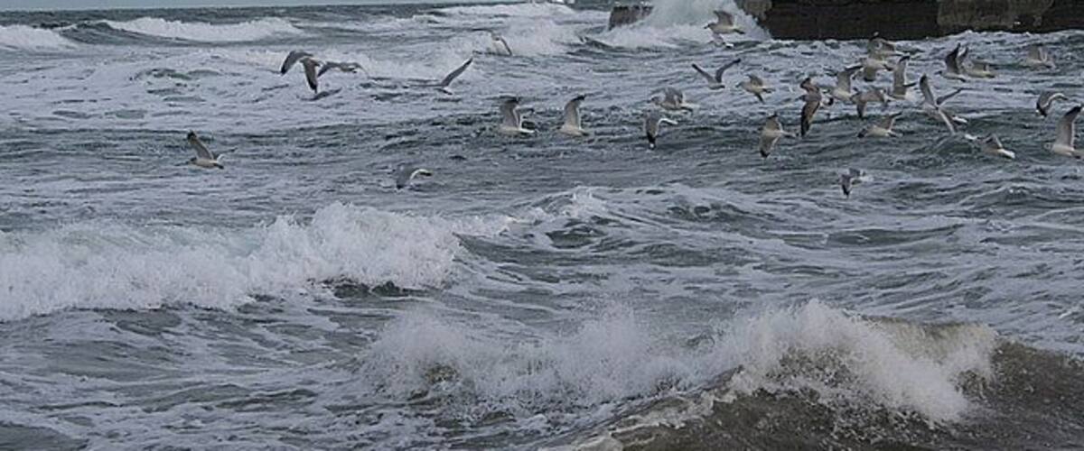 Rough seas with waves crashing against a concrete pier, and seagulls flying over the water.