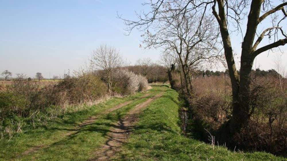 A rural path with a tree on the right and open fields in the background.