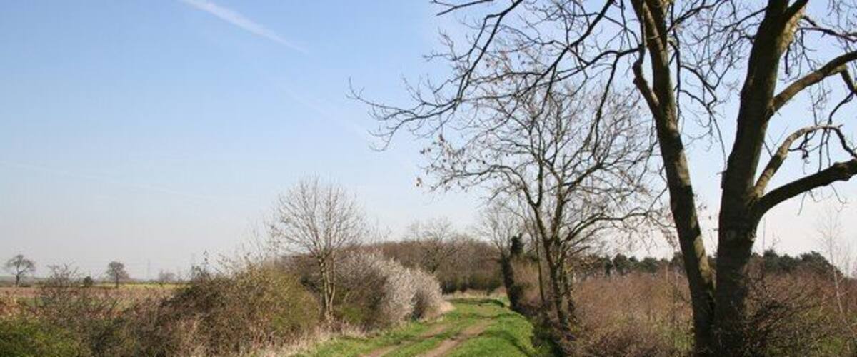 A rural path with a tree on the right and open fields in the background.