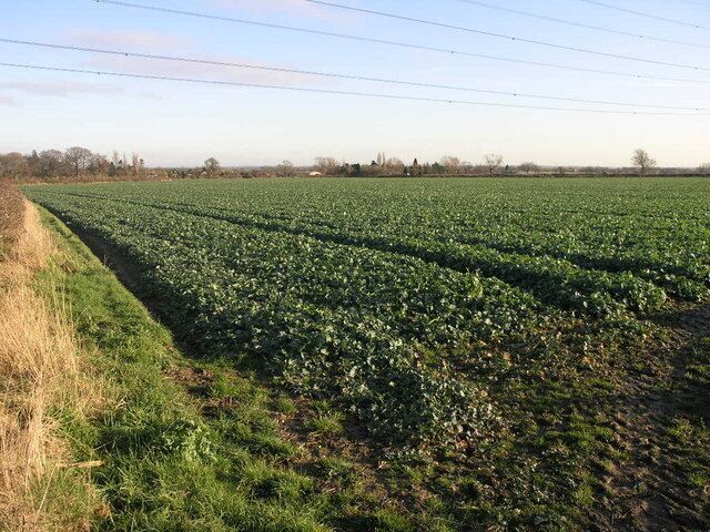 West of Normanton Just beyond this field is the village of Normanton on Trent.