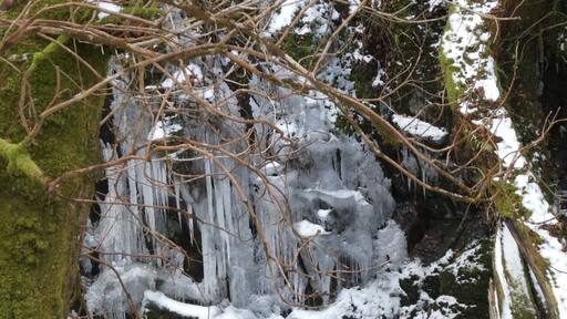 The UK has been experiencing some very cold weather brrrr ❄️