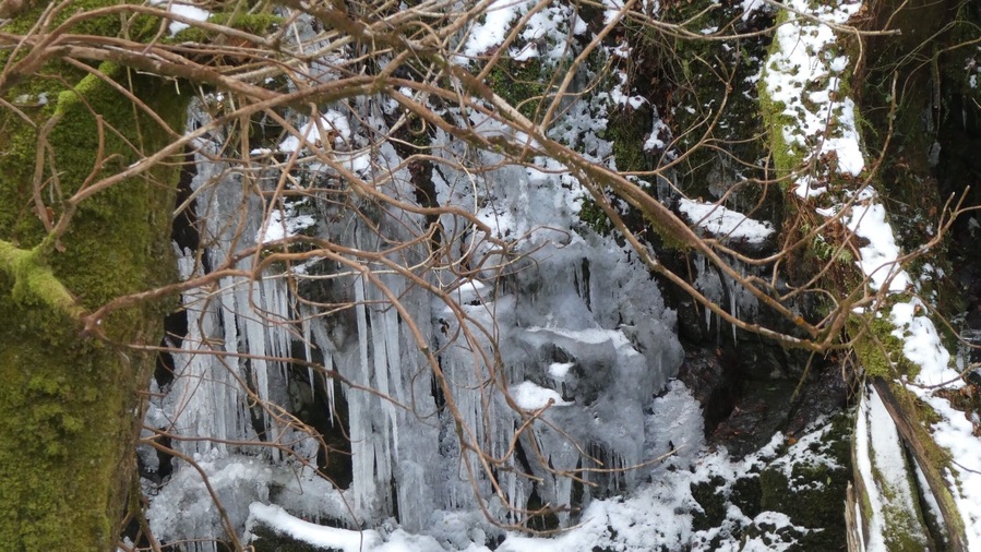 The UK has been experiencing some very cold weather brrrr ❄️