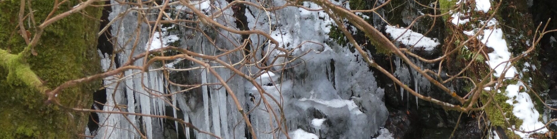 The UK has been experiencing some very cold weather brrrr ❄️