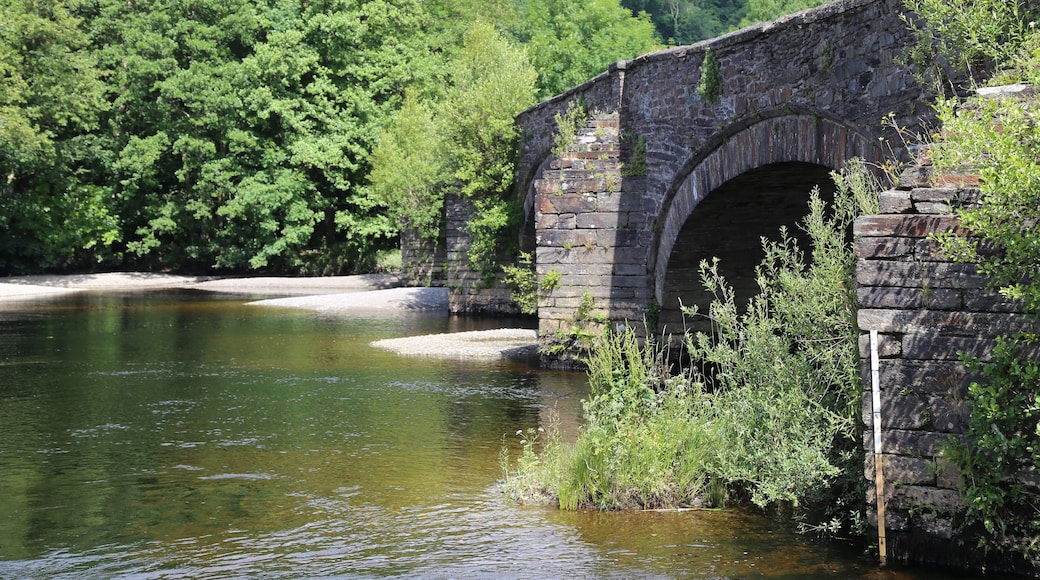 An ancient bridge over the Mawddach River at Llanelltyd, Gwynedd, Wales, UK.