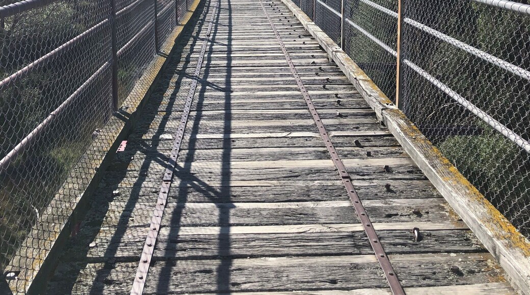 This abandoned railway track is now part of the Otago Central Rail Trail. If you’re ever in this part of the world, do rent some mountain bikes and bike this 35km trail between Wedderburn and Lauder in Otago, New Zealand. Account for time to stop and enjoy the views! #trovember #bikearailtrack #outdoors #newzealand #hiddengems