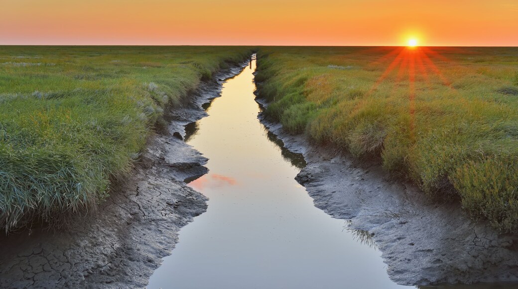 Tide Way, Westerheversand at Sunset in the Summer, Westerhever, Tating, Schleswig-Holstein, Germany