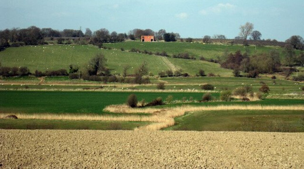 Tillingham Valley A maze of fields, sheep and drainage channels