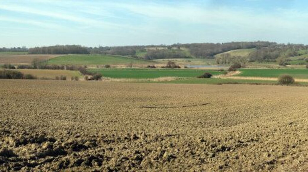 Fields towards Tillingham Looking North West towards Peasmarsh
