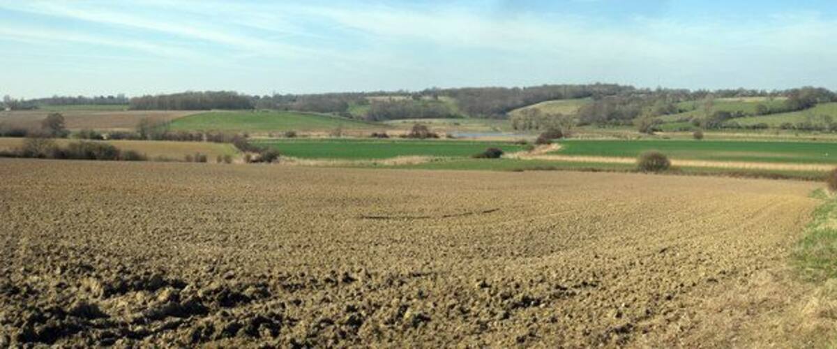 A plowed field with rolling hills and a distant body of water.