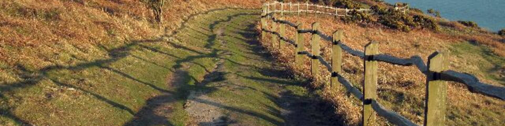 Top of Fairlight Cliffs The Saxon shore way running across the top of the cliffs between Hastings and Fairlight.