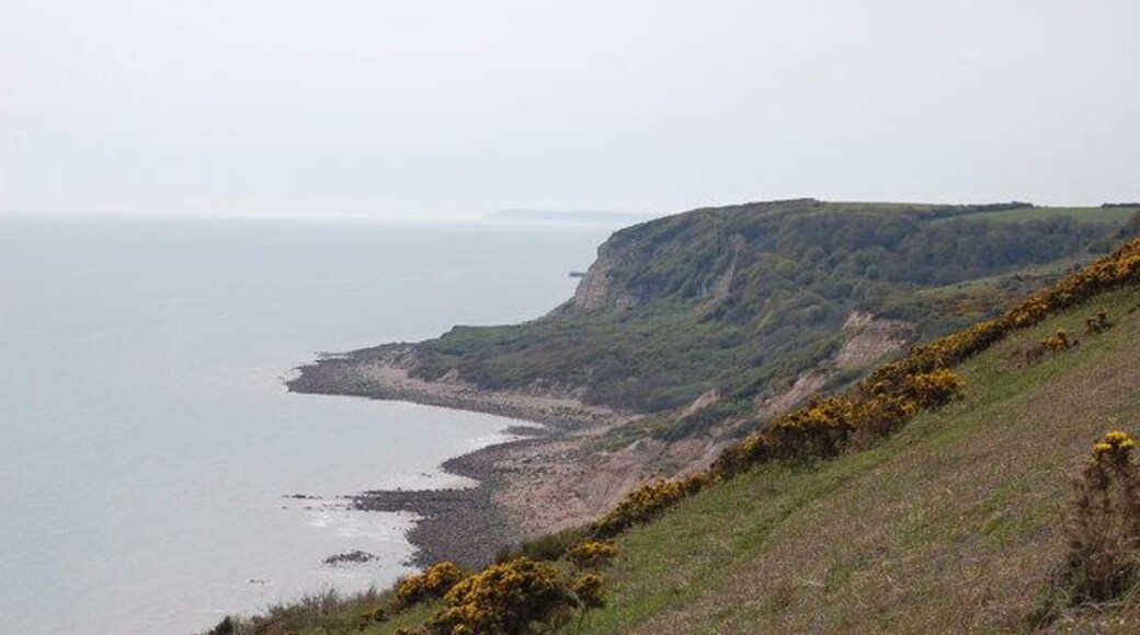Towards Covehurst Bay Looking SW from the Firehills, Fairlight.
