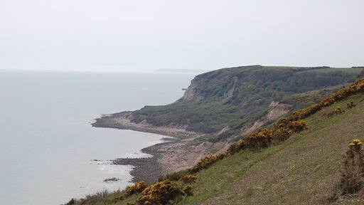 Towards Covehurst Bay Looking SW from the Firehills, Fairlight.