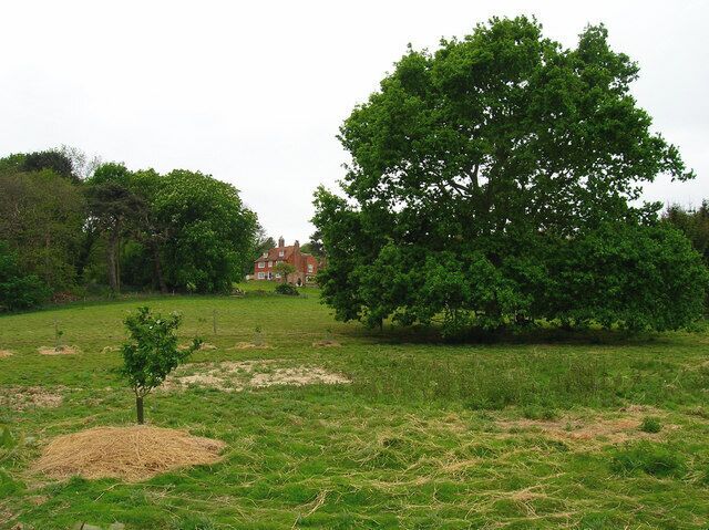 Stonelynk Farm Built on the foundations of the original manor of Fairlight. Taken from the footpath that links Fairlight Cove with Rosemary Lane.
