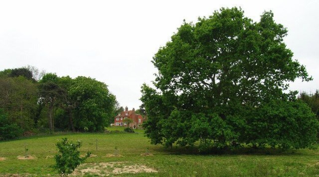 Stonelynk Farm Built on the foundations of the original manor of Fairlight. Taken from the footpath that links Fairlight Cove with Rosemary Lane.